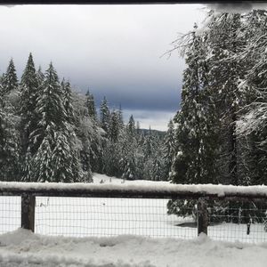 Meet your Posher, Ben